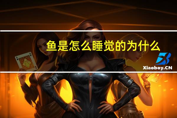 鱼是怎么睡觉的为什么?