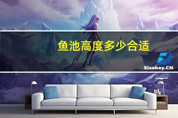 鱼池高度多少合适