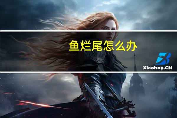 鱼烂尾怎么办