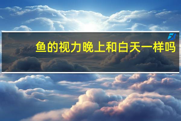 鱼的视力晚上和白天一样吗