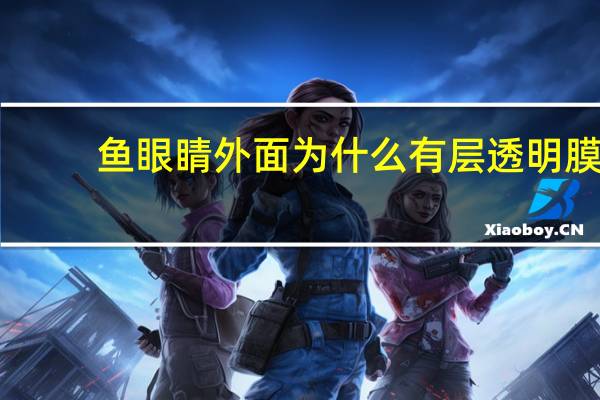 鱼眼睛外面为什么有层透明膜