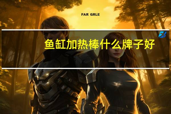 鱼缸加热棒什么牌子好