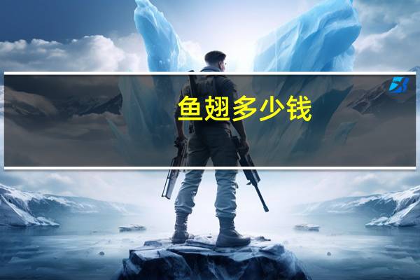 鱼翅多少钱