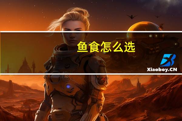 鱼食怎么选