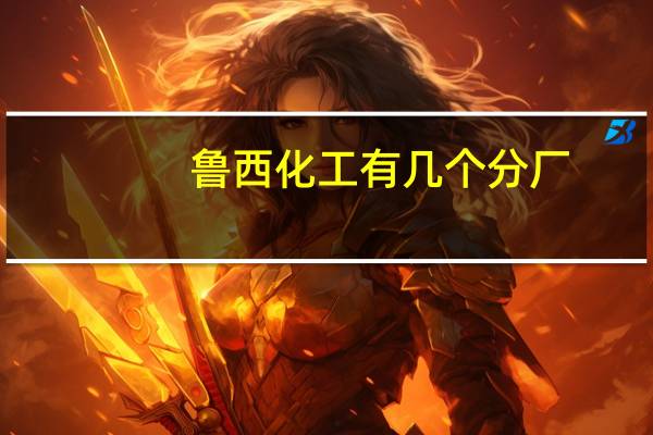 鲁西化工有几个分厂