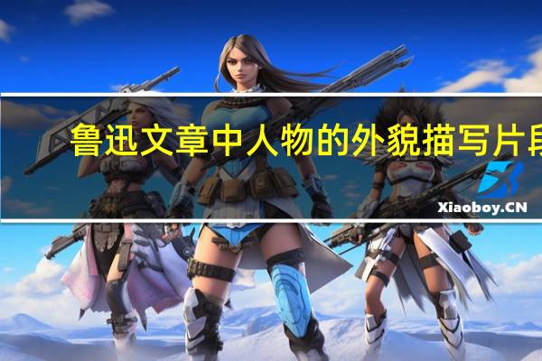 鲁迅文章中人物的外貌描写片段