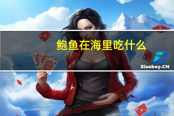 鲍鱼在海里吃什么