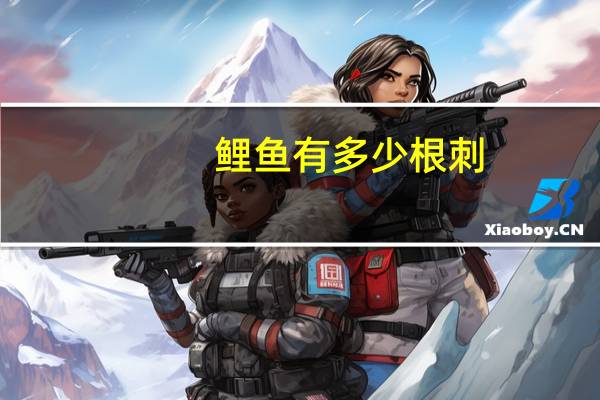 鲤鱼有多少根刺