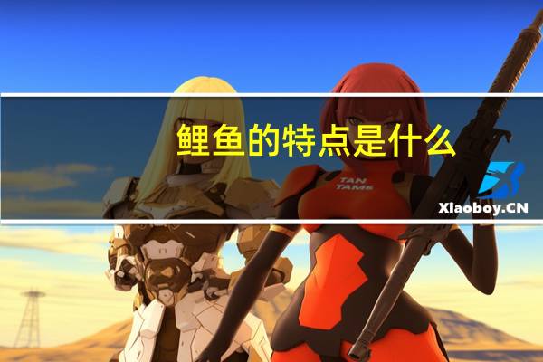 鲤鱼的特点是什么