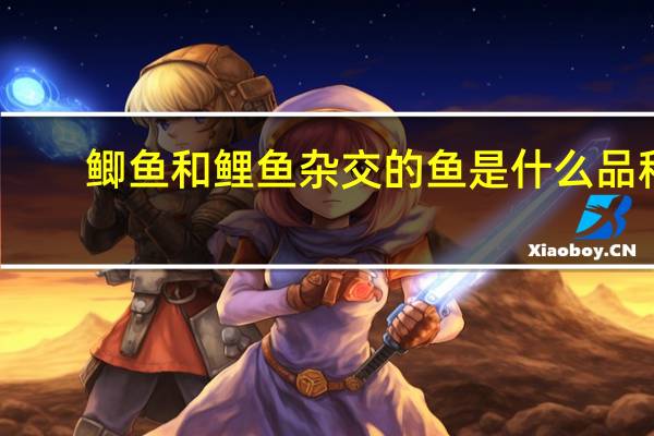 鲫鱼和鲤鱼杂交的鱼是什么品种