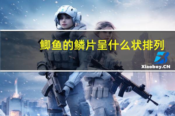 鲫鱼的鳞片呈什么状排列