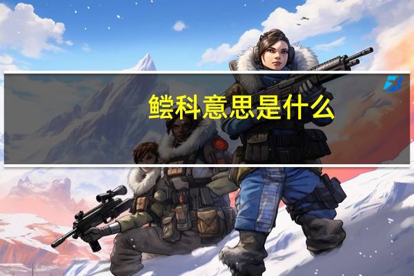 鲿科意思是什么