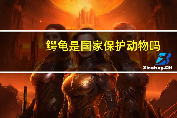 鳄龟是国家保护动物吗