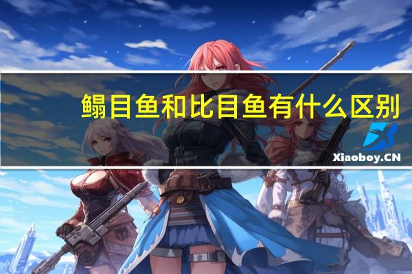 鳎目鱼和比目鱼有什么区别