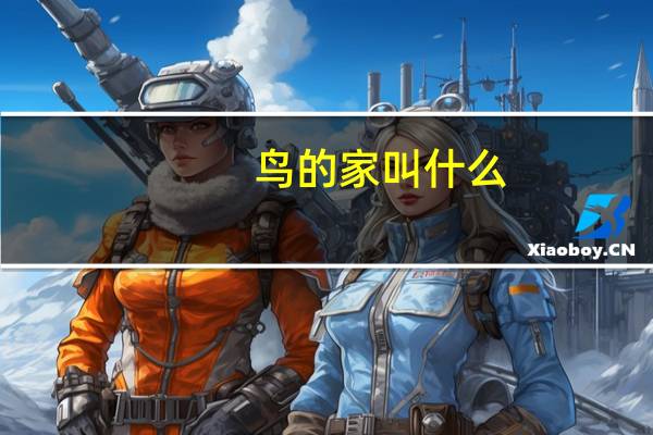 鸟的家叫什么