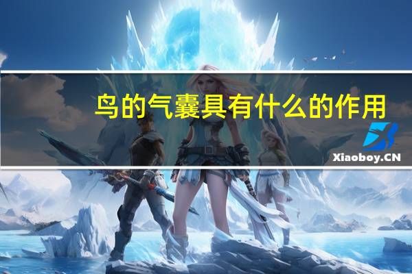 鸟的气囊具有什么的作用