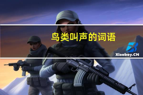 鸟类叫声的词语