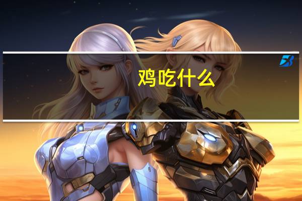 鸡吃什么