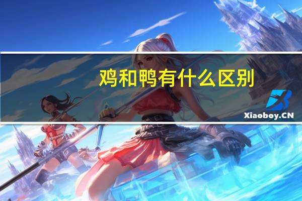 鸡和鸭有什么区别