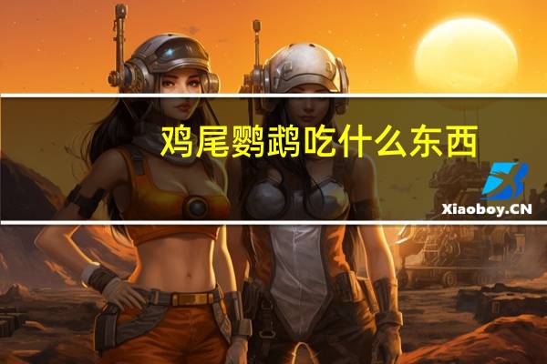 鸡尾鹦鹉吃什么东西