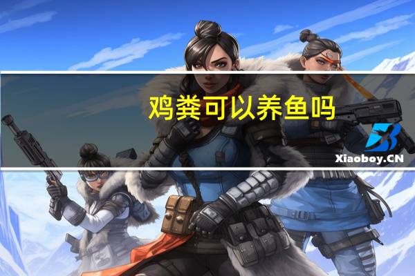 鸡粪可以养鱼吗