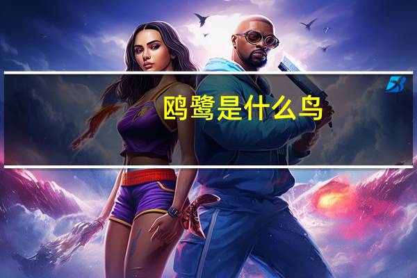 鸥鹭是什么鸟