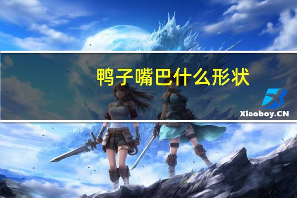 鸭子嘴巴什么形状