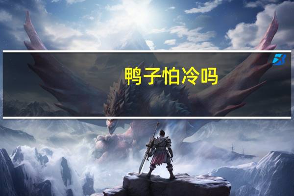 鸭子怕冷吗