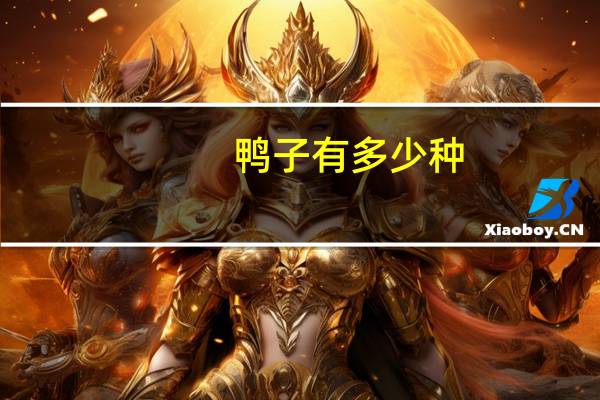 鸭子有多少种