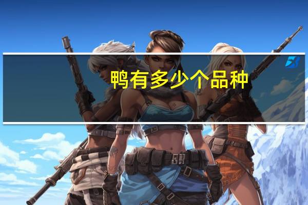 鸭有多少个品种