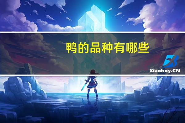鸭的品种有哪些