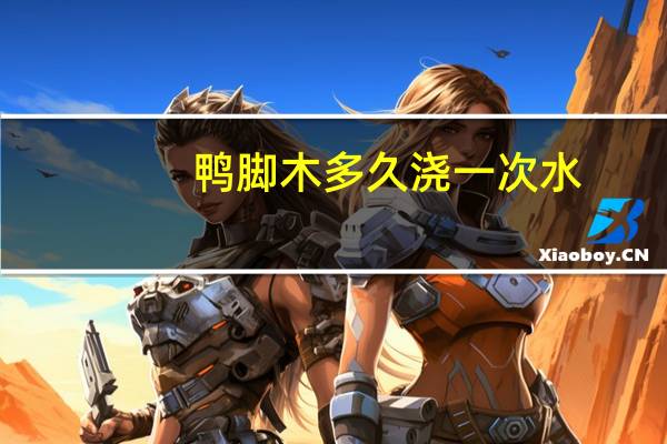 鸭脚木多久浇一次水