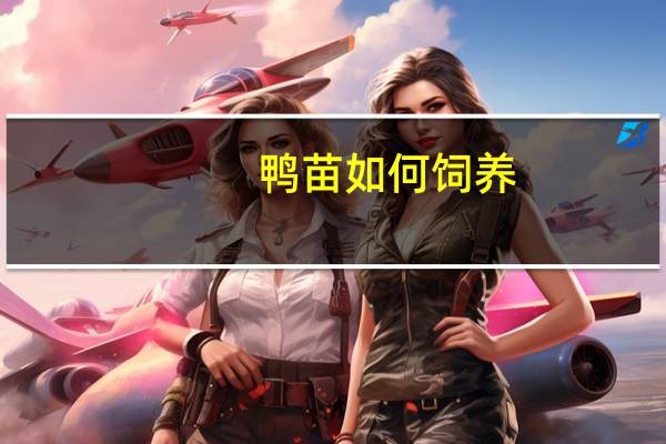 鸭苗如何饲养
