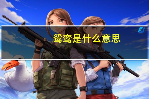 鸳鸾是什么意思