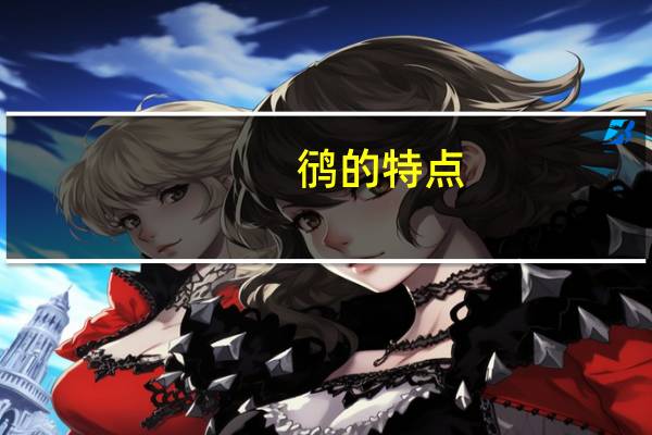 鸻的特点