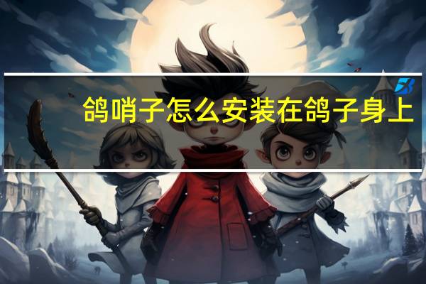 鸽哨子怎么安装在鸽子身上
