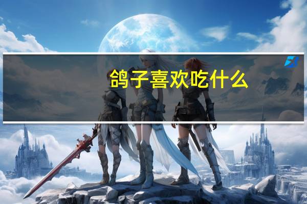 鸽子喜欢吃什么