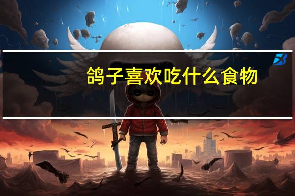 鸽子喜欢吃什么食物