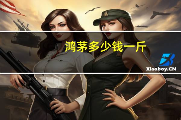 鸿茅多少钱一斤