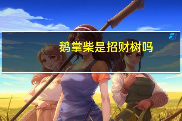 鹅掌柴是招财树吗