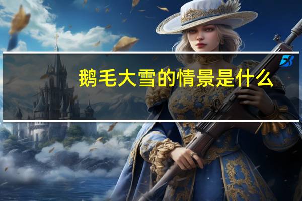 鹅毛大雪的情景是什么
