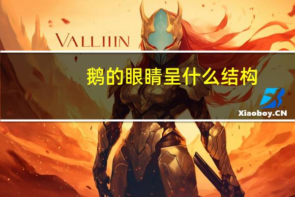 鹅的眼睛呈什么结构