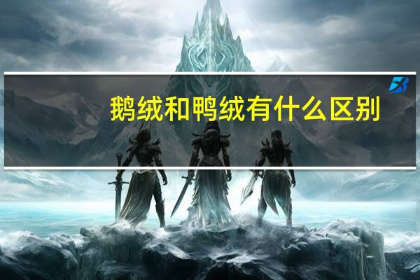 鹅绒和鸭绒有什么区别