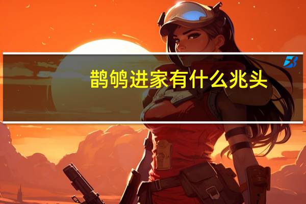 鹊鸲进家有什么兆头