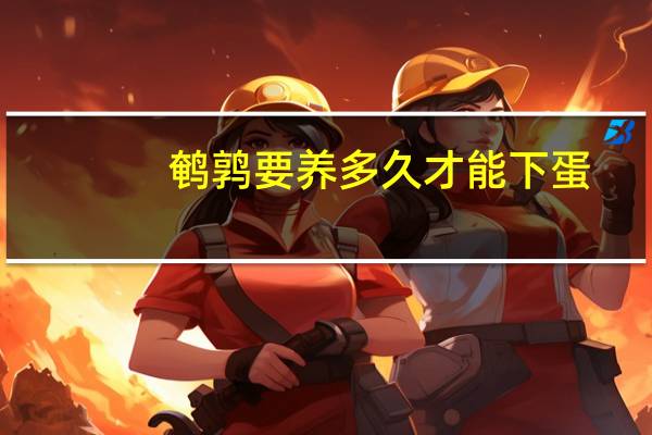 鹌鹑要养多久才能下蛋