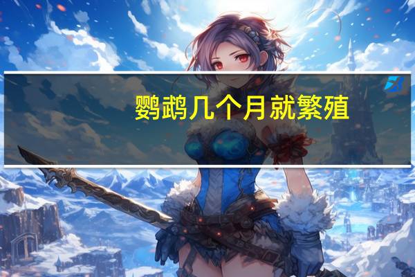 鹦鹉几个月就繁殖