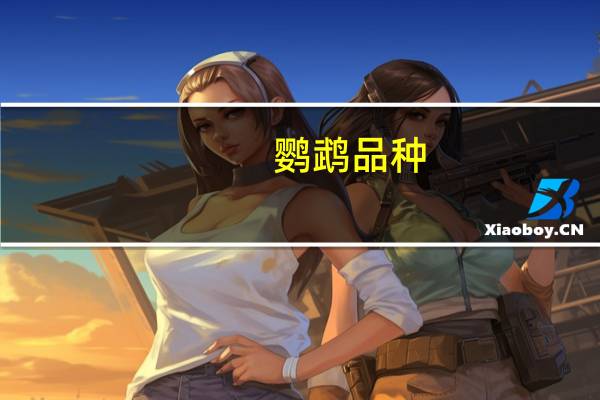 鹦鹉品种