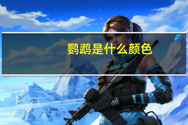 鹦鹉是什么颜色
