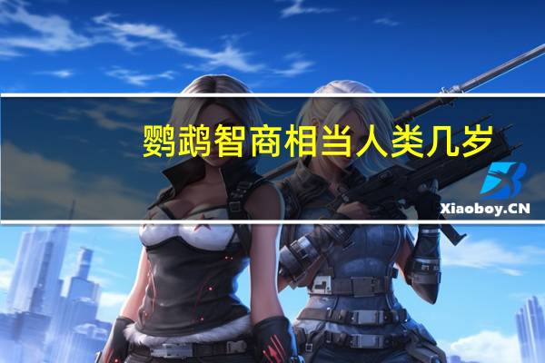 鹦鹉智商相当人类几岁