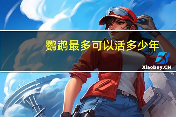 鹦鹉最多可以活多少年